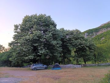 Campers / guests