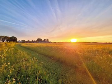 Sunset across the meadow