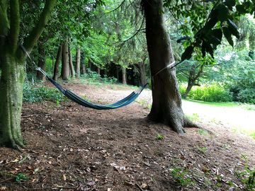 Relax in the tree hammock (added by manager 07 oct 2022)