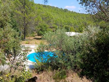 Pool and terrace