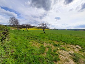 Entrance to the grassy pitches (added by manager 03 may 2023)