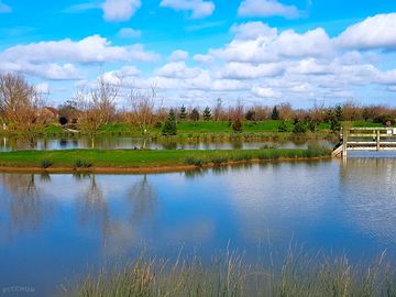 Overlooking the lake