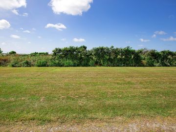 Field