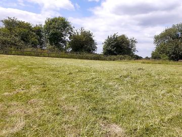 Camping field