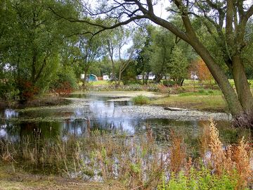 Lake scenery