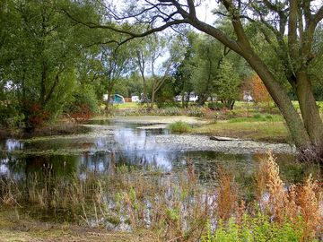 Lake scenery (added by manager 26 jun 2021)