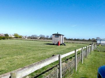 Paddock where the hut is sited
