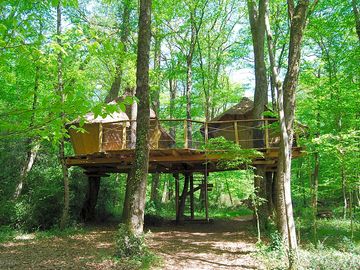 Capucins treehouse (added by manager 06 feb 2020)