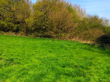 Trees and bushes around the farm (added by manager 21 apr 2018)