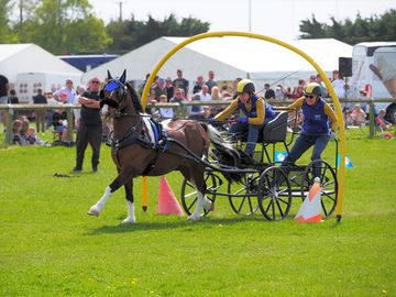 British scurry and trials driving