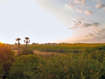 A fabulous landscape