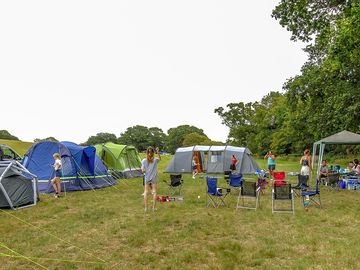 Grass pitches