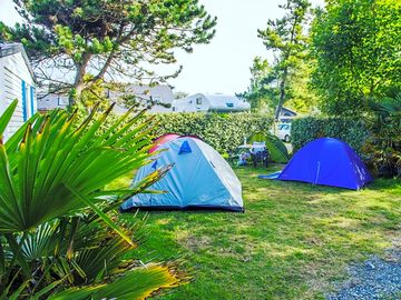 Grass pitches