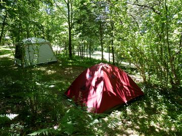 Shaded tent pitches