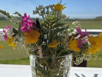 Wildflowers in the hut
