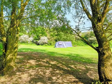 Camping field