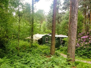 Hut in the woods (added by manager 08 mar 2023)
