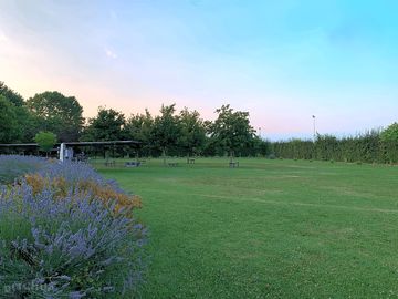 Garden view at sunset, with camper pitches in the background and the barbecue area on the left