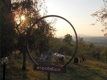 Un angolo suggestivo del campeggio, tra gli ulivi e le colline toscane.