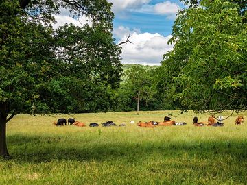 Local residents (added by manager 18 may 2021)