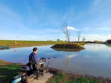 Holly tree park and fish