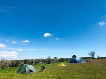 Spacious pitches