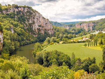 Local landscape