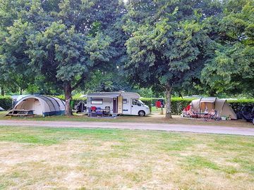 Grassy pitches under the shade of the trees