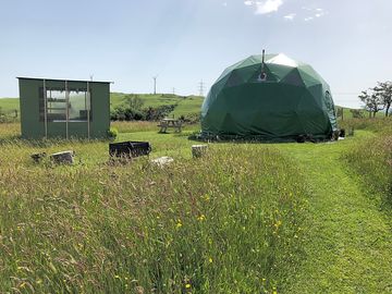 Nestled in the meadow
