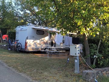 Pitches under the shade of trees