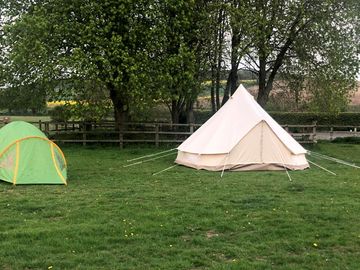 Grass pitches
