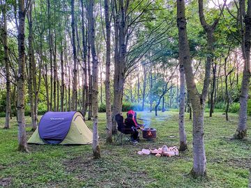 Camping in the woodland (added by manager 03 aug 2022)