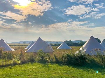 Glamping tents in the morning sun (added by manager 16 aug 2022)