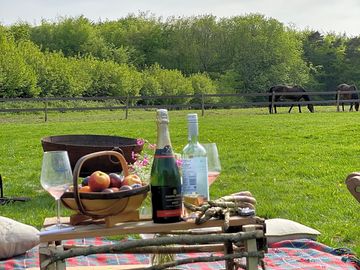Picnics (added by manager 23 may 2020)