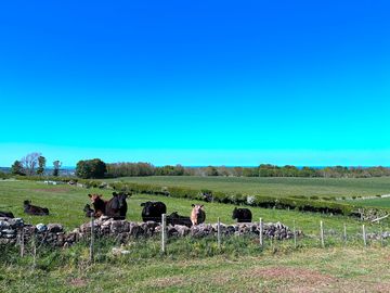 Neighbours vary depending the time of year but you will always see some farming or wildlife