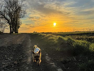 Nice walk close to the site