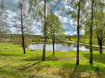 Lake among the trees
