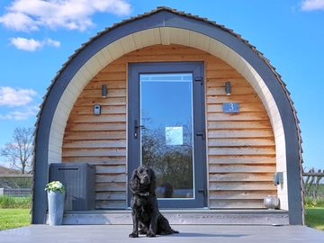 Dog friendly camping pod 3 (added by manager 22 apr 2024)