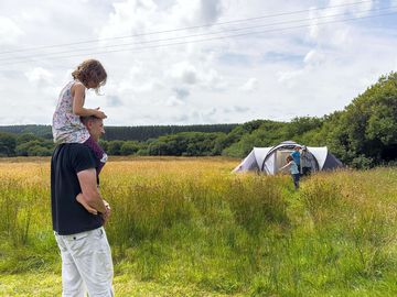 Tent in the meadows
