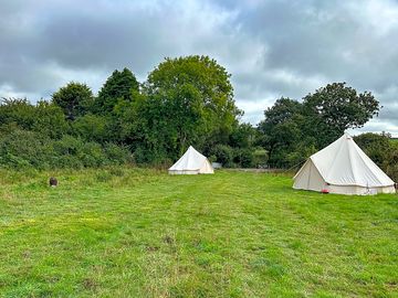 Glamping field (added by manager 11 sep 2023)