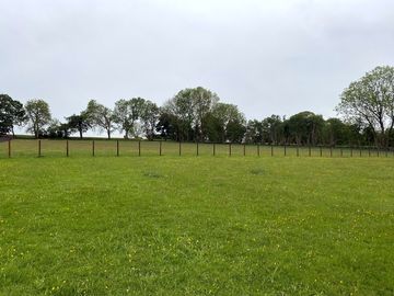 Pitches on a flat field with a few buttercups (added by manager 20 may 2022)