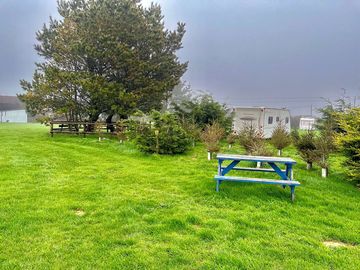 Picnic tables and plenty of space