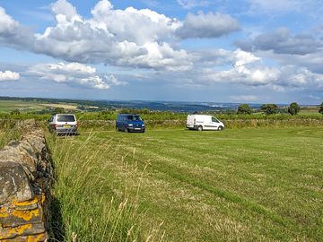 Campervans