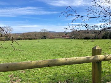 View from the garden