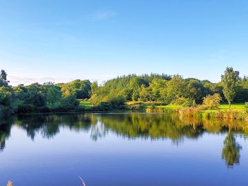 View of the lake (added by manager 23 aug 2022)