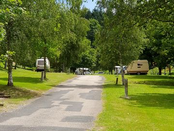 Tree-shaded pitches