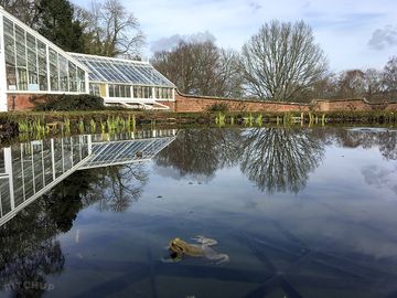 Walled garden area