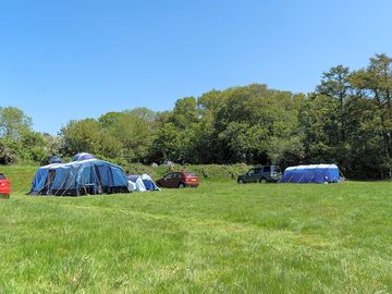 Chestnut and larch pitches for large tents