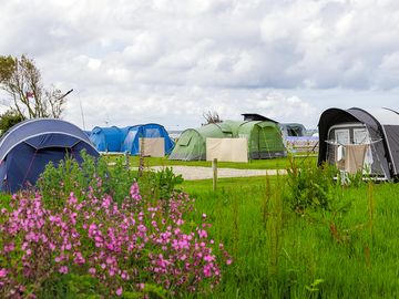 Well-kept gardens