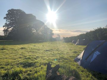 Field